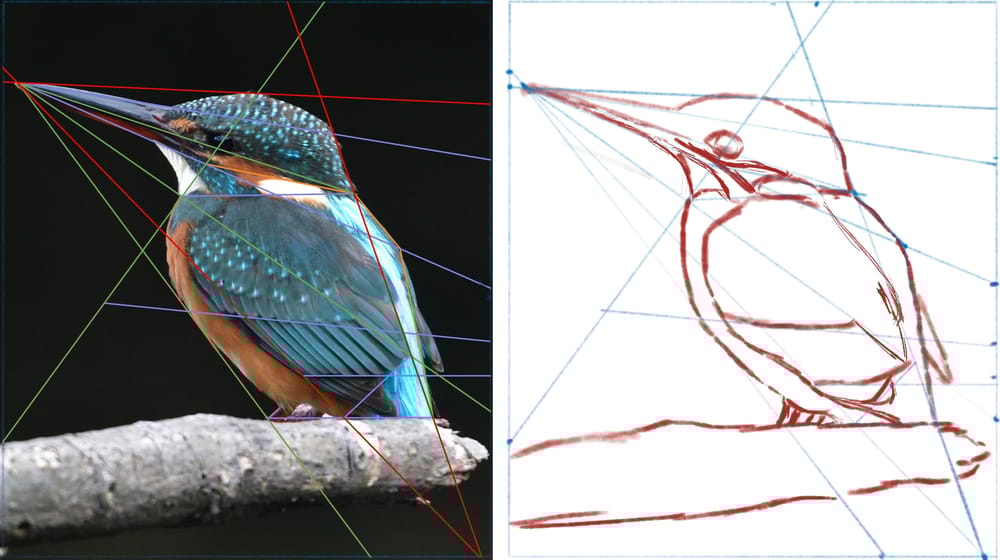 Learn To Draw with Procreate - image 3 - student project
