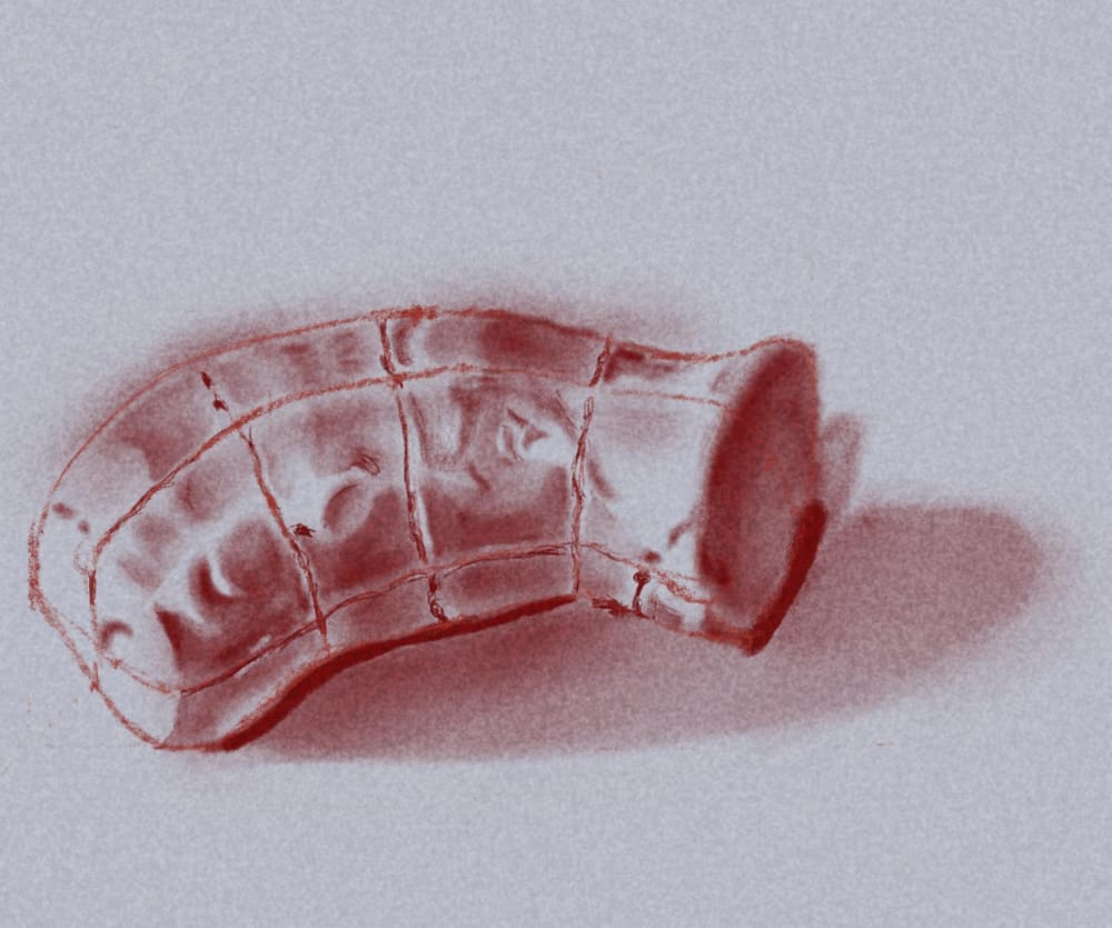 Learn To Draw with Procreate - image 4 - student project