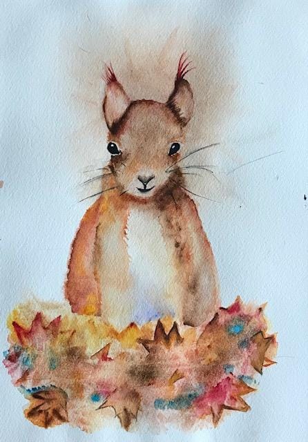 Red Squirrel - image 1 - student project
