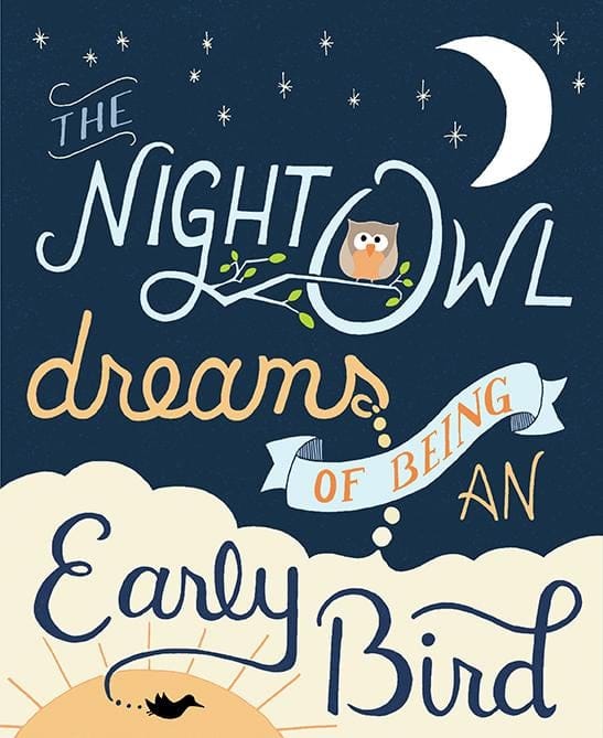 Night Owl - image 12 - student project