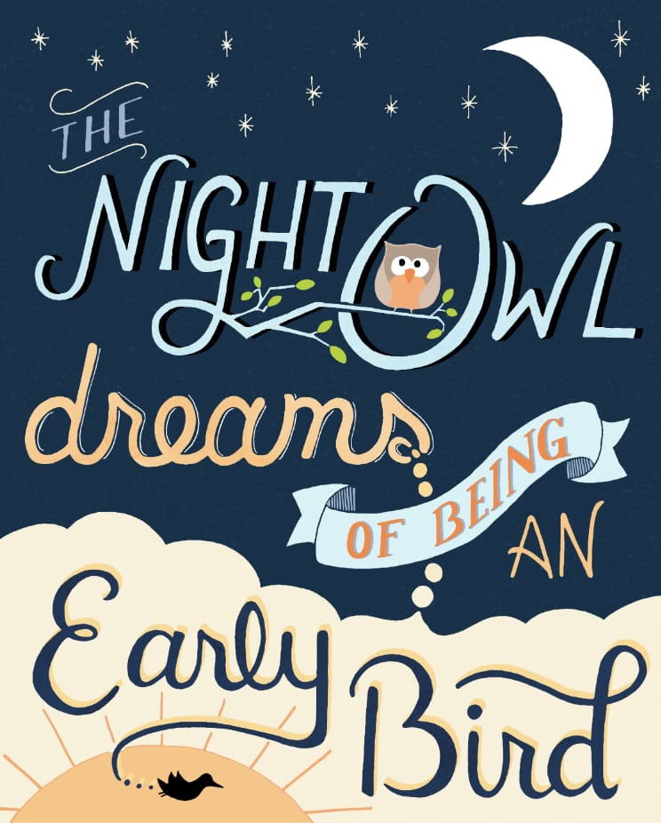 Night Owl - image 11 - student project