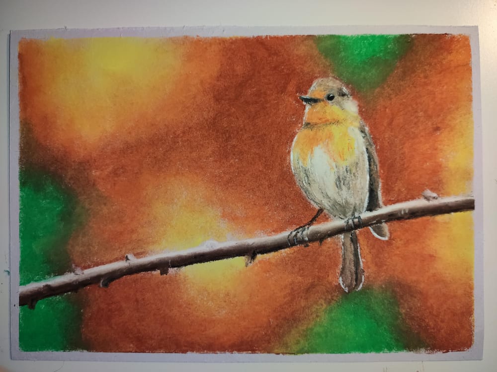 Robin - image 4 - student project