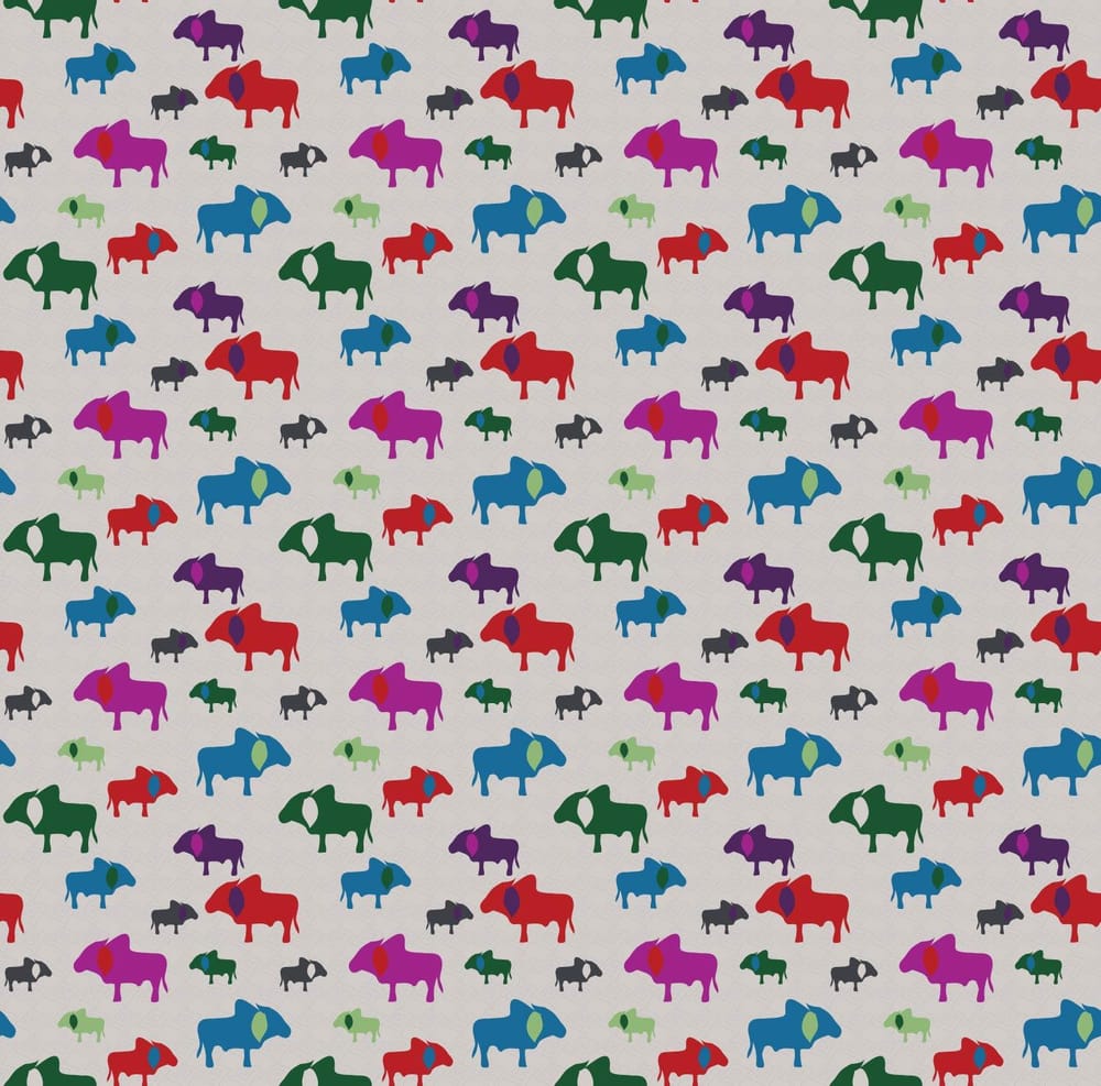 Zebu on Parade - image 1 - student project