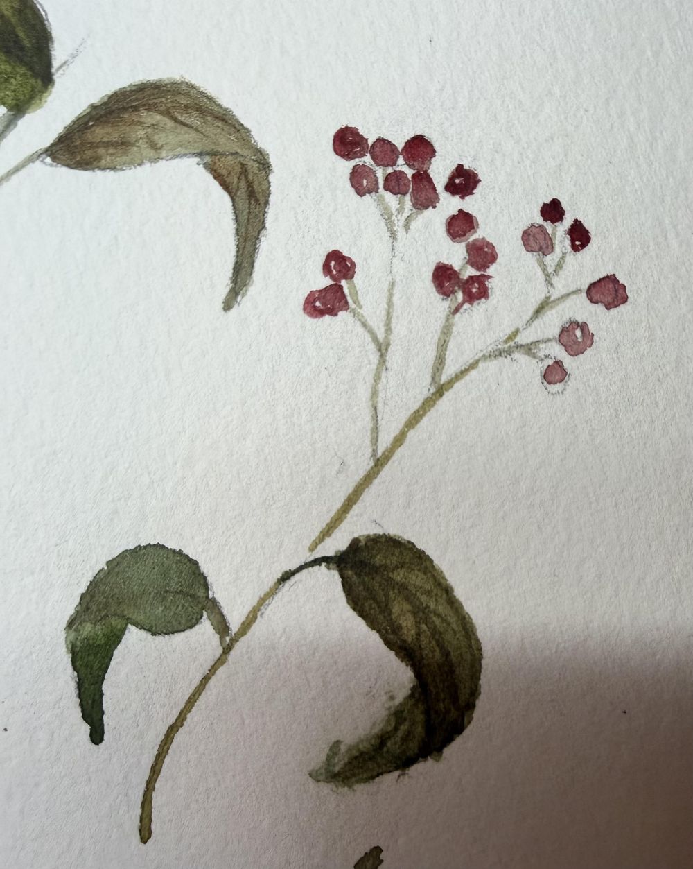 Autumn Elements - image 3 - student project