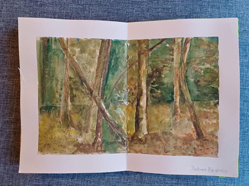 atmospherique natural landscapes in watercolour - image 1 - student project