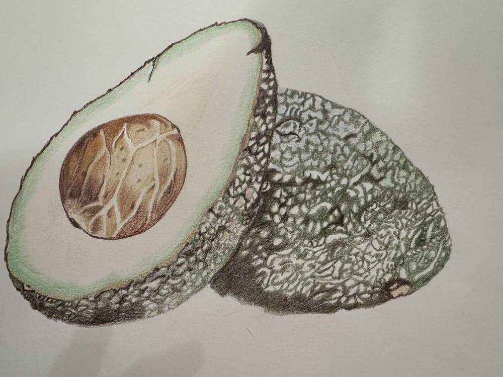 Colored Pencil Avocado - image 1 - student project