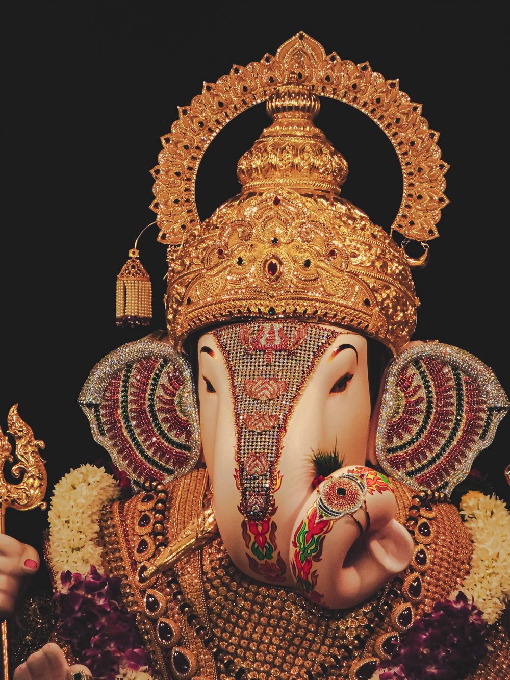 Photomontage: Merging Human & Animal - image 4 - student project