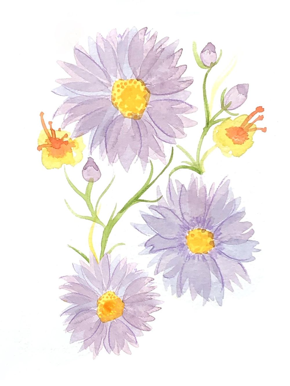 Watercolor_practice - image 1 - student project