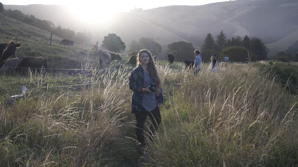 Expat in New Zealand - image 2 - student project