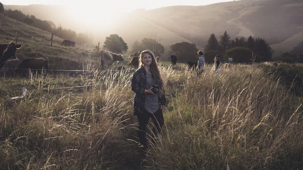 Expat in New Zealand - image 1 - student project