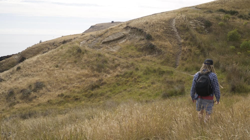 Expat in New Zealand - image 8 - student project