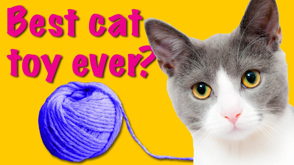 Got yarn? - image 1 - student project