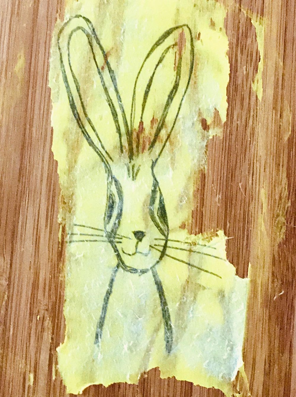 Hank the Hare - image 1 - student project