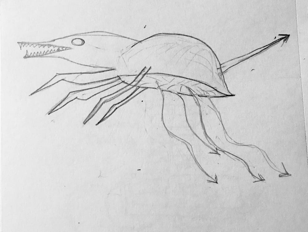 Shrimpelly - image 1 - student project