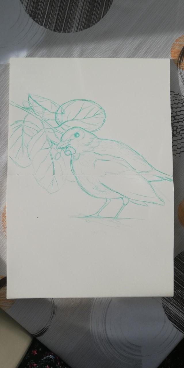 Mirlo bird - image 2 - student project