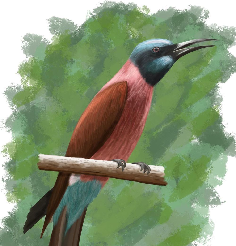 Digital Art - Learn to Draw and Paint in Photoshop - image 2 - student project