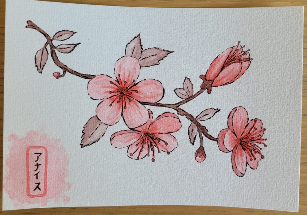 Cherry blossoms - image 1 - student project