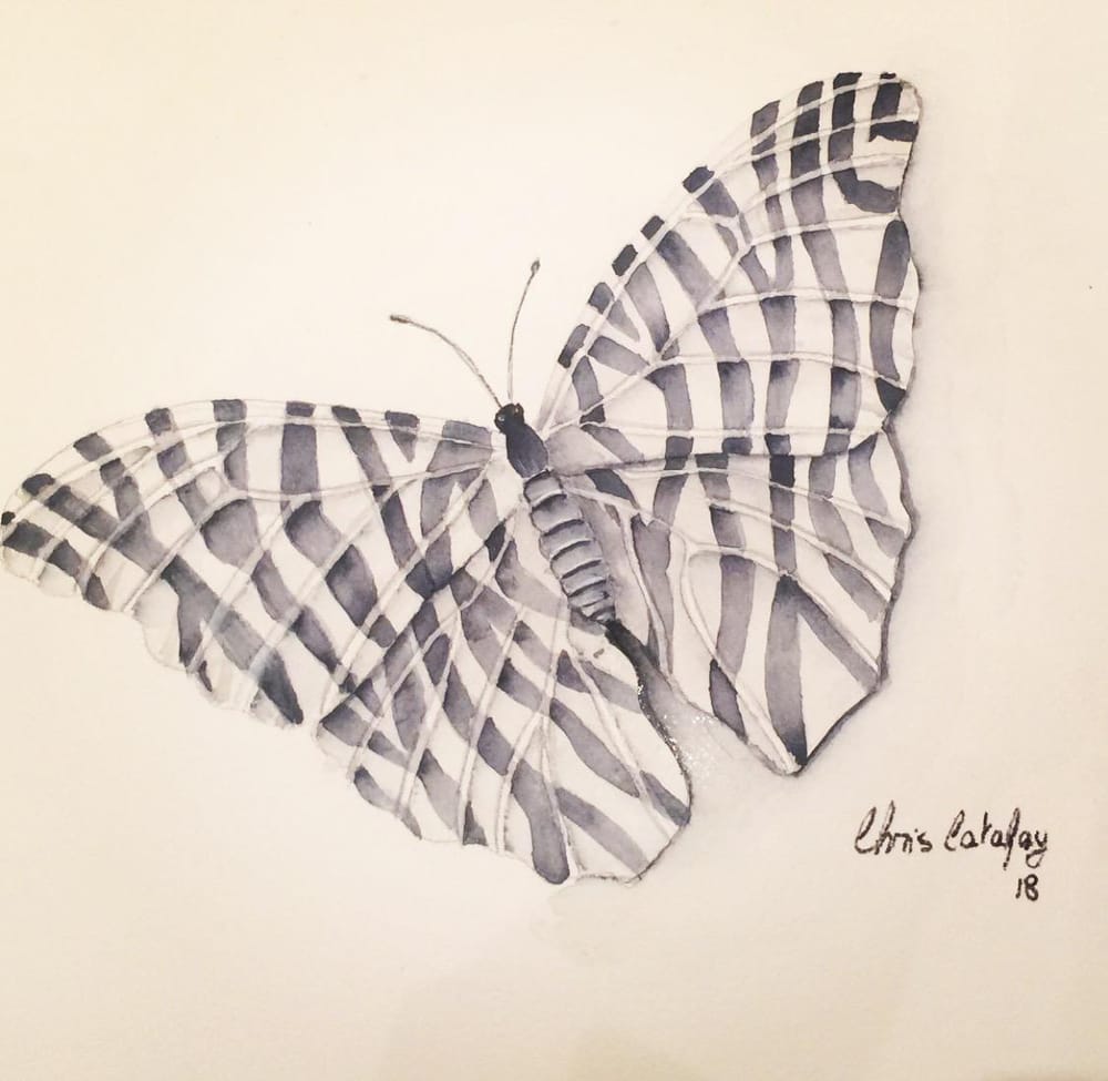 Zebra Butterfly - image 1 - student project