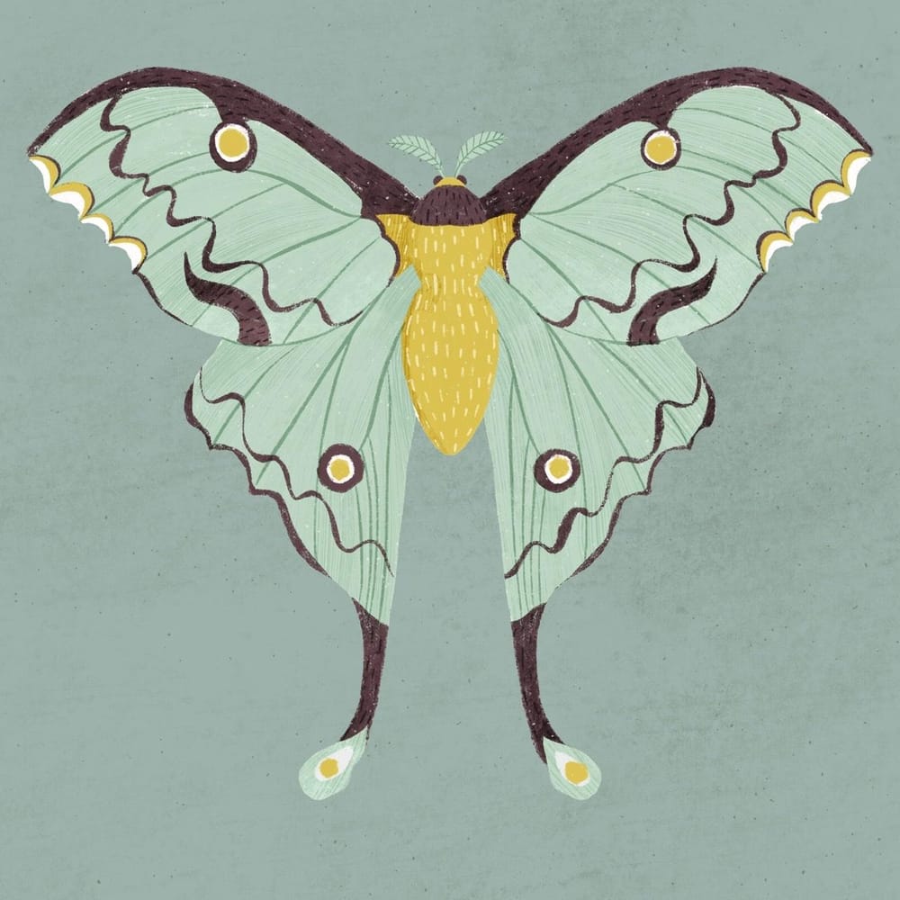 Bugs - image 1 - student project