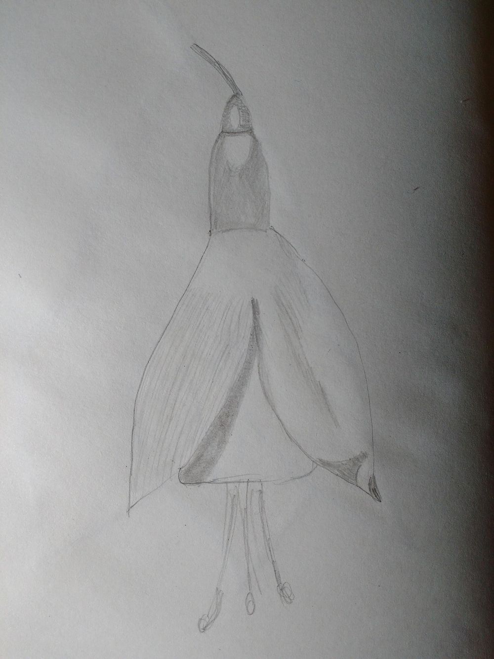 Day 5 - image 4 - student project