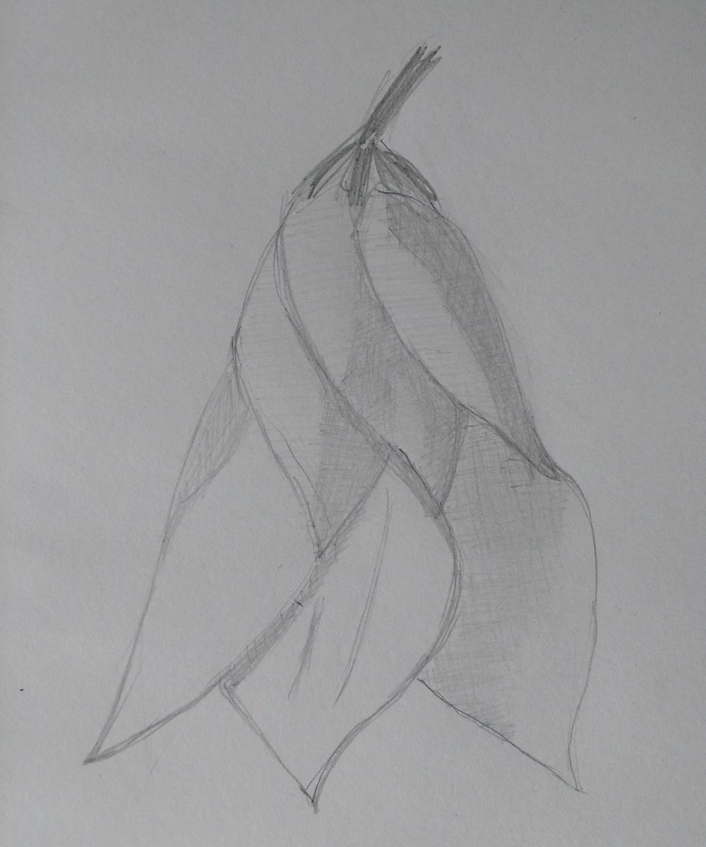 Day 5 - image 5 - student project
