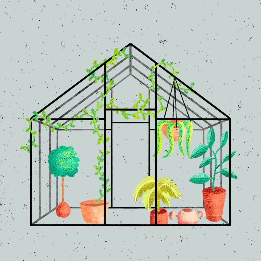 Cherries, greenhouse and Venezuelan church - image 2 - student project