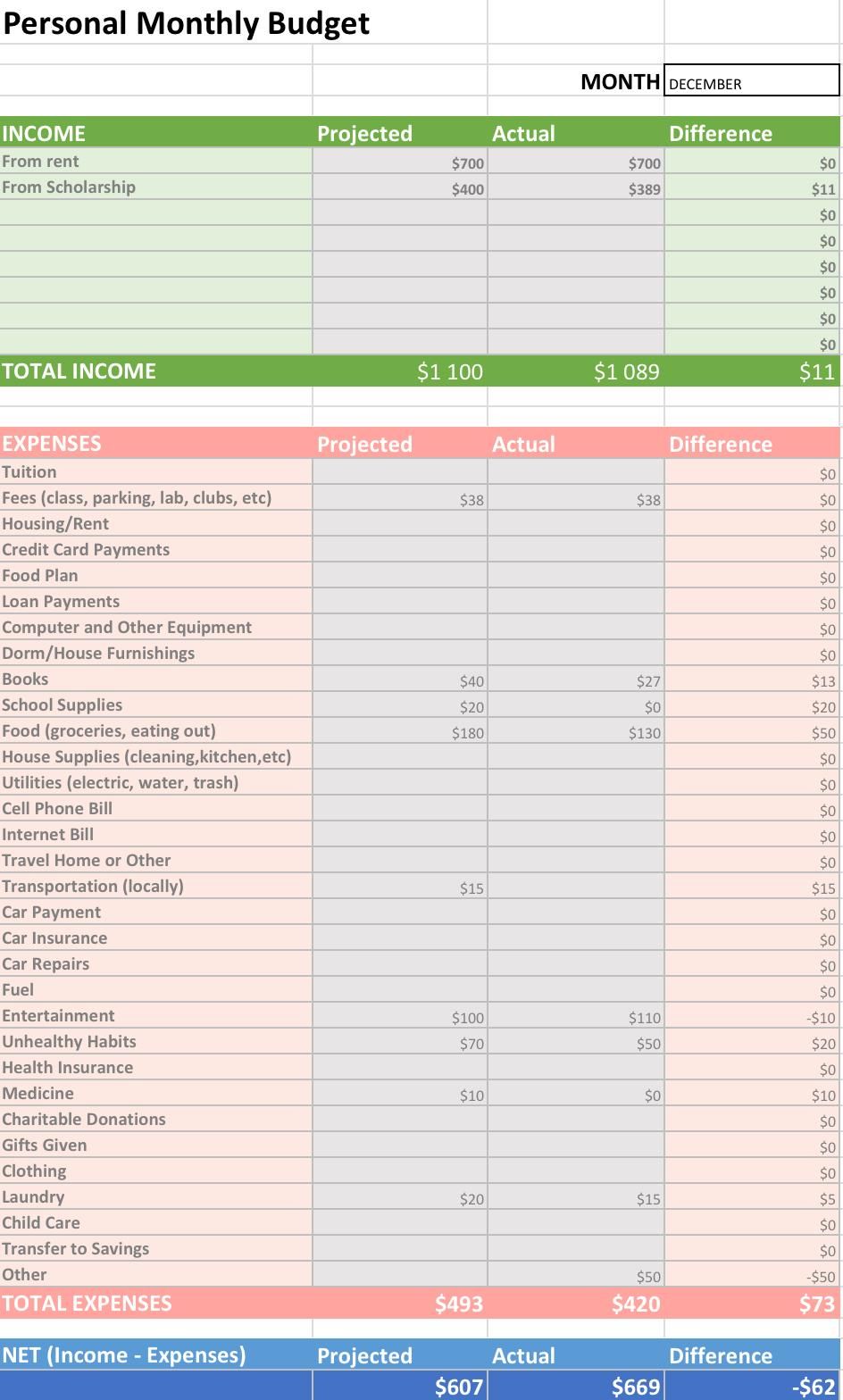 Excel spreadsheet of my expenses - image 1 - student project
