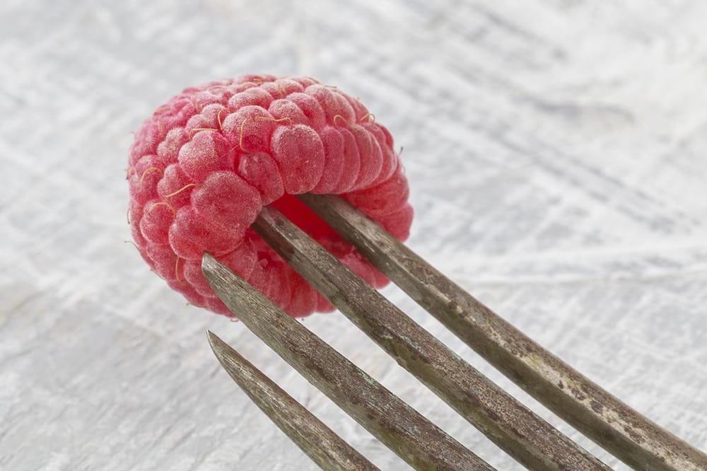 Raspberry mood - image 2 - student project