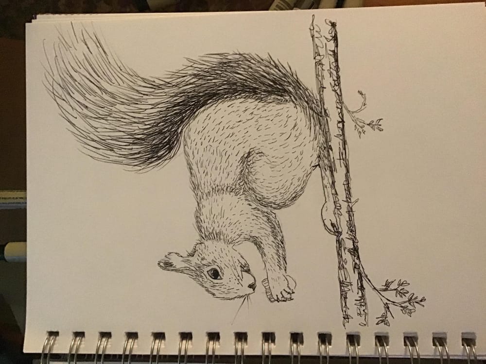 Squirrel! - image 1 - student project