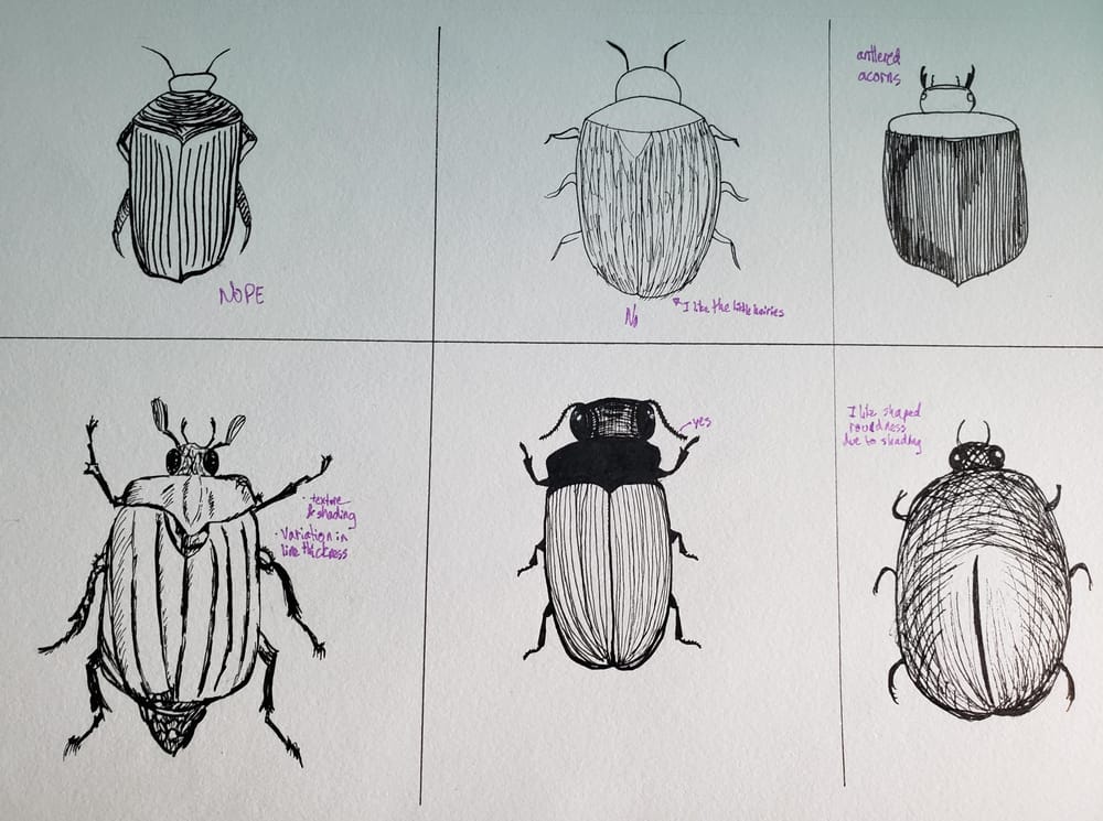 Beetles, Butterflies, and Broken Rules - image 1 - student project