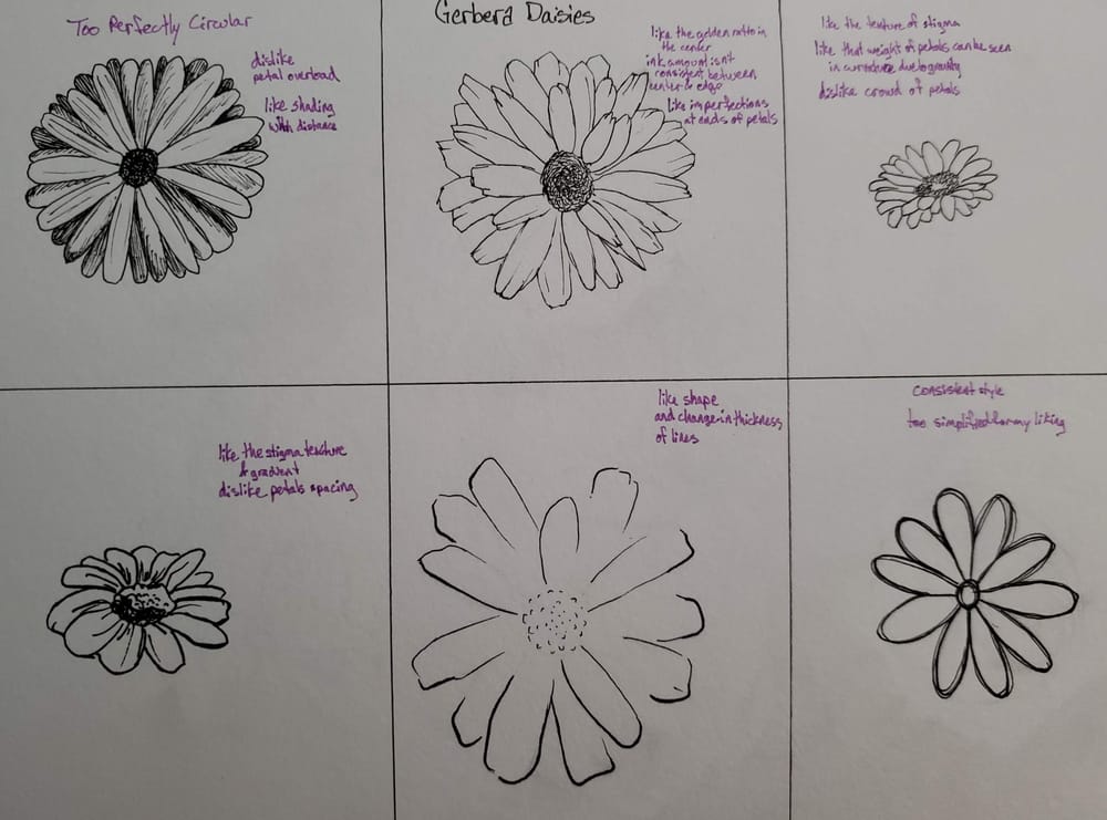 Beetles, Butterflies, and Broken Rules - image 4 - student project