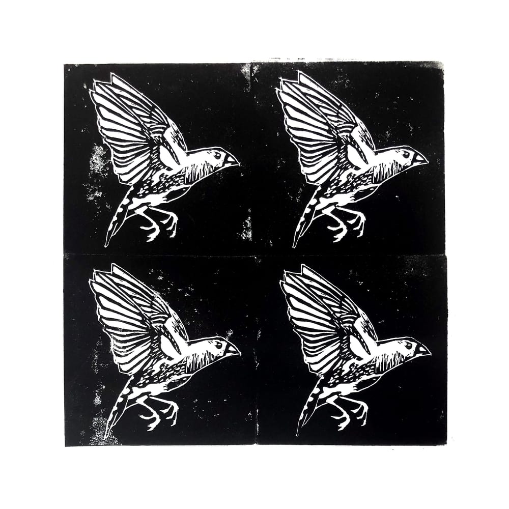 Contour Printing - image 2 - student project