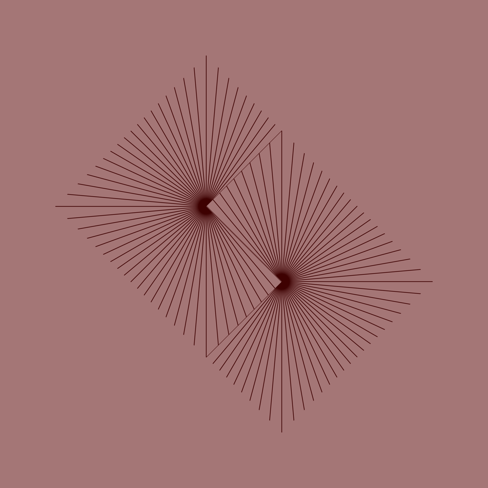 Lines within Squares & Circles - image 2 - student project
