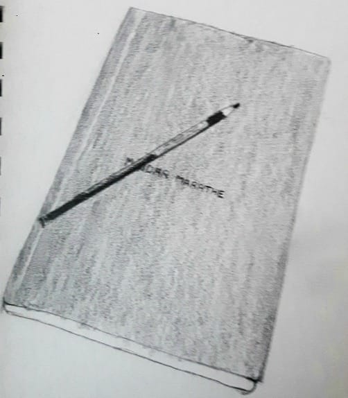 My 30 days drawing challenge COMPLETED :) - image 3 - student project