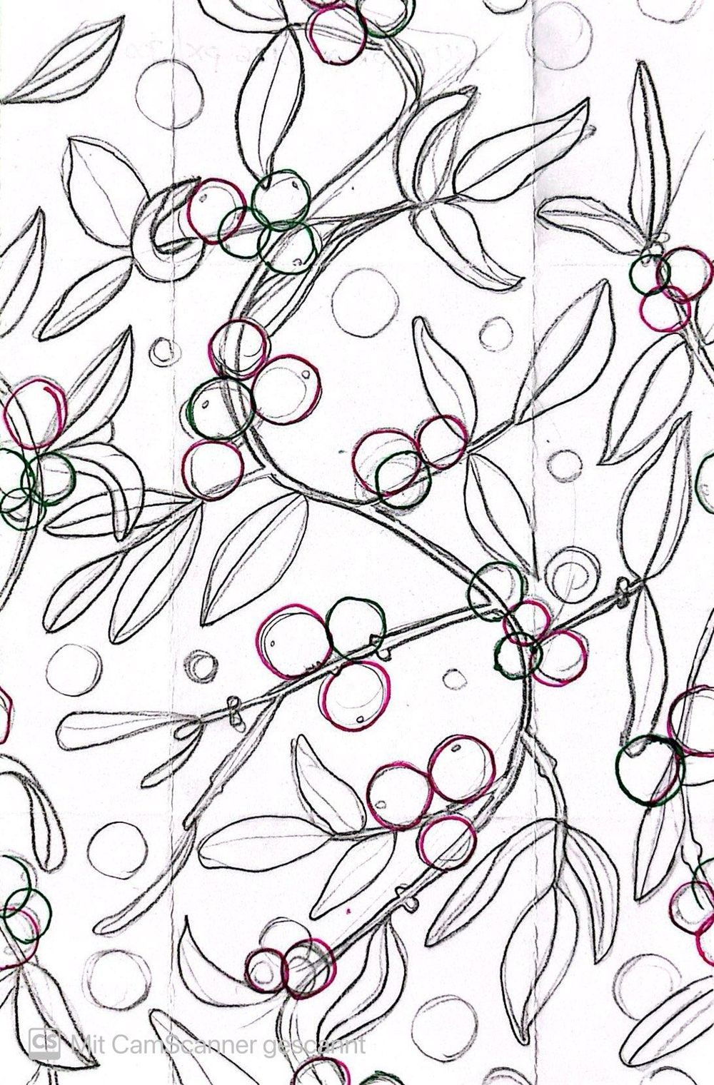 Mistelzweig mit Beeren - image 1 - student project