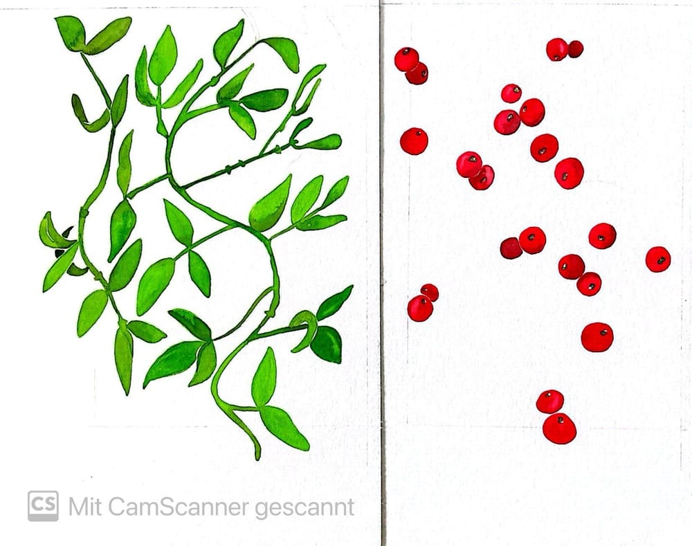 Mistelzweig mit Beeren - image 2 - student project