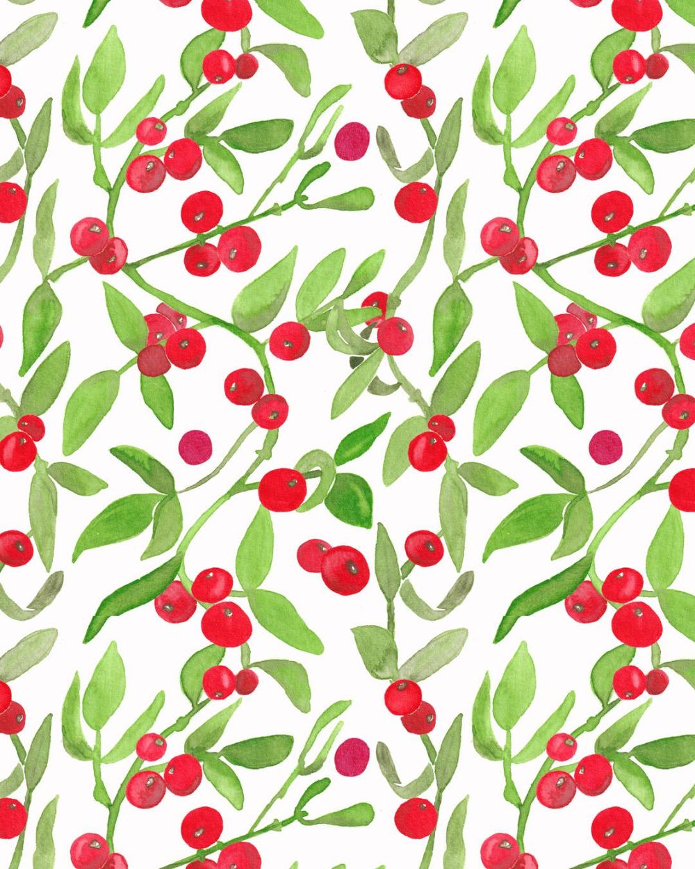 Mistelzweig mit Beeren - image 3 - student project