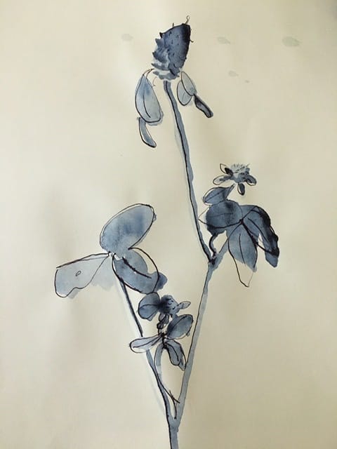 Final Project: Snapdragons (also warm-ups) - image 4 - student project