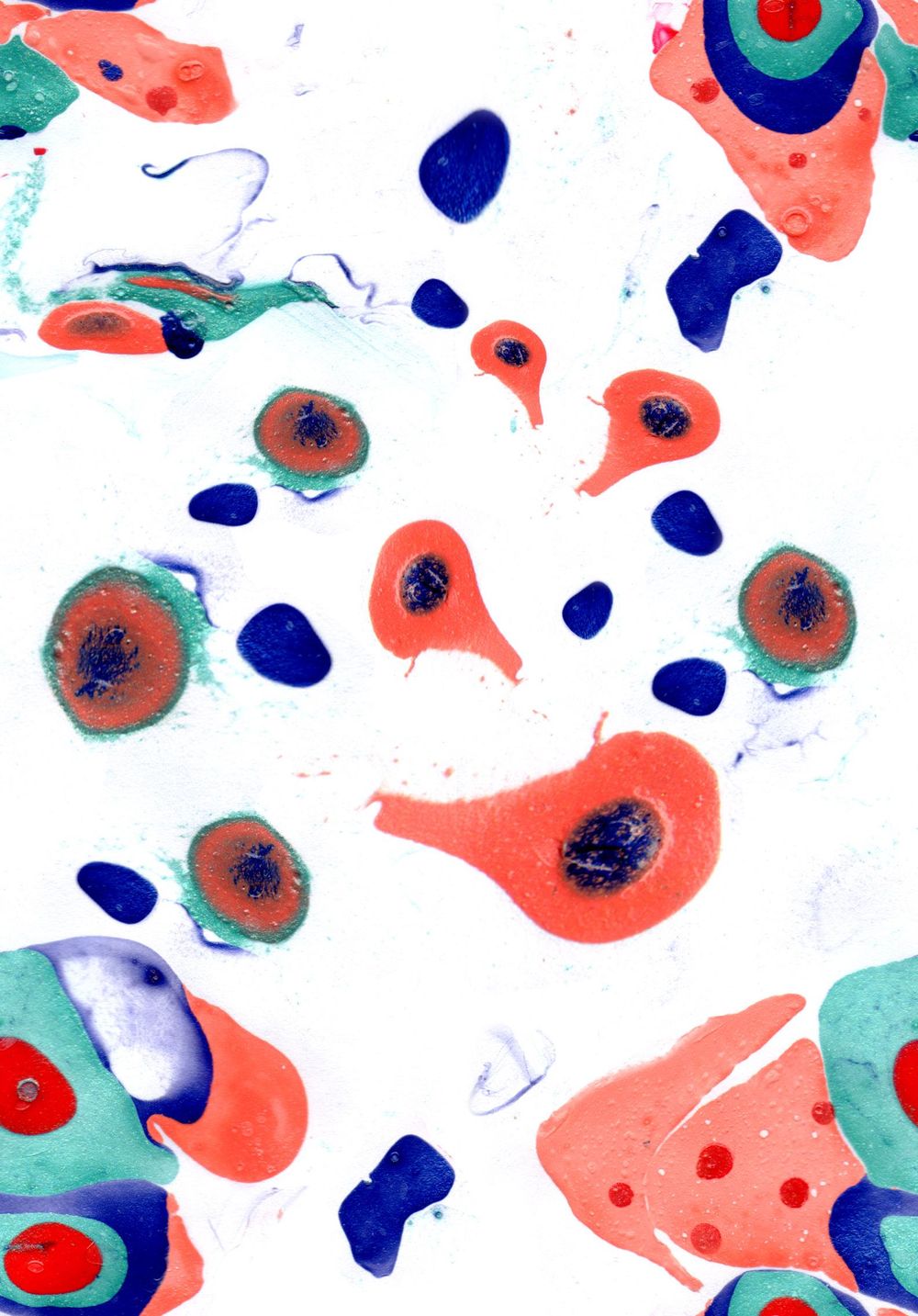 drops of summer - image 6 - student project