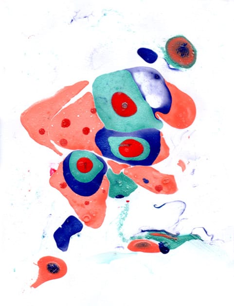 drops of summer - image 5 - student project