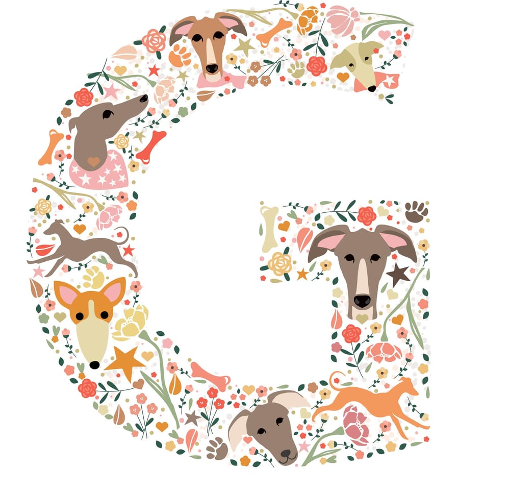 G is for Greyhound - image 1 - student project