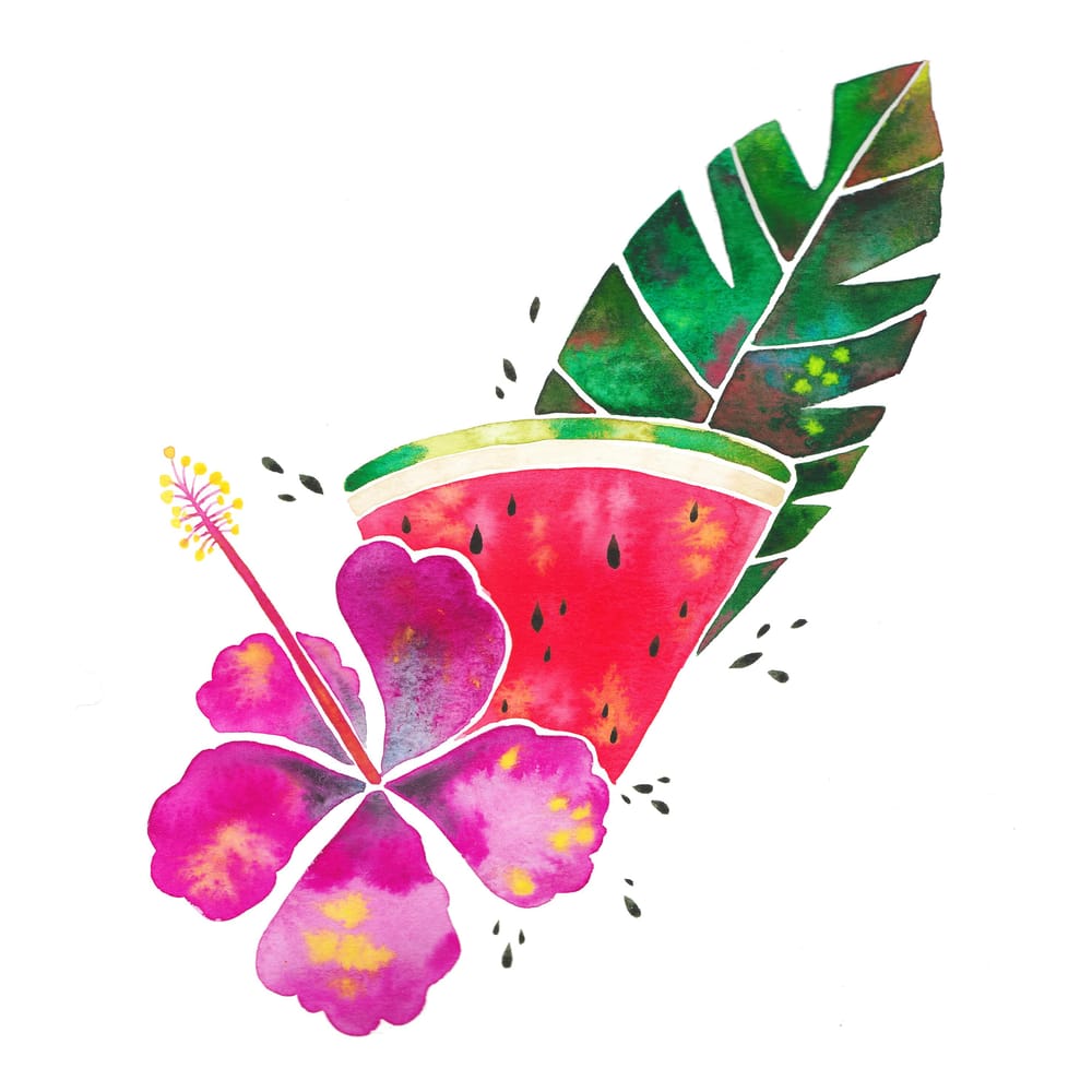 My juicy watermelon and hibiscus illustration :) - image 1 - student project