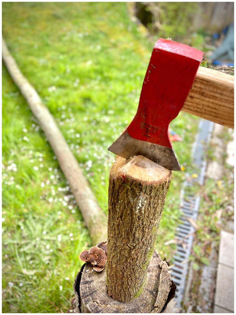 Carving my first spatula - image 1 - student project