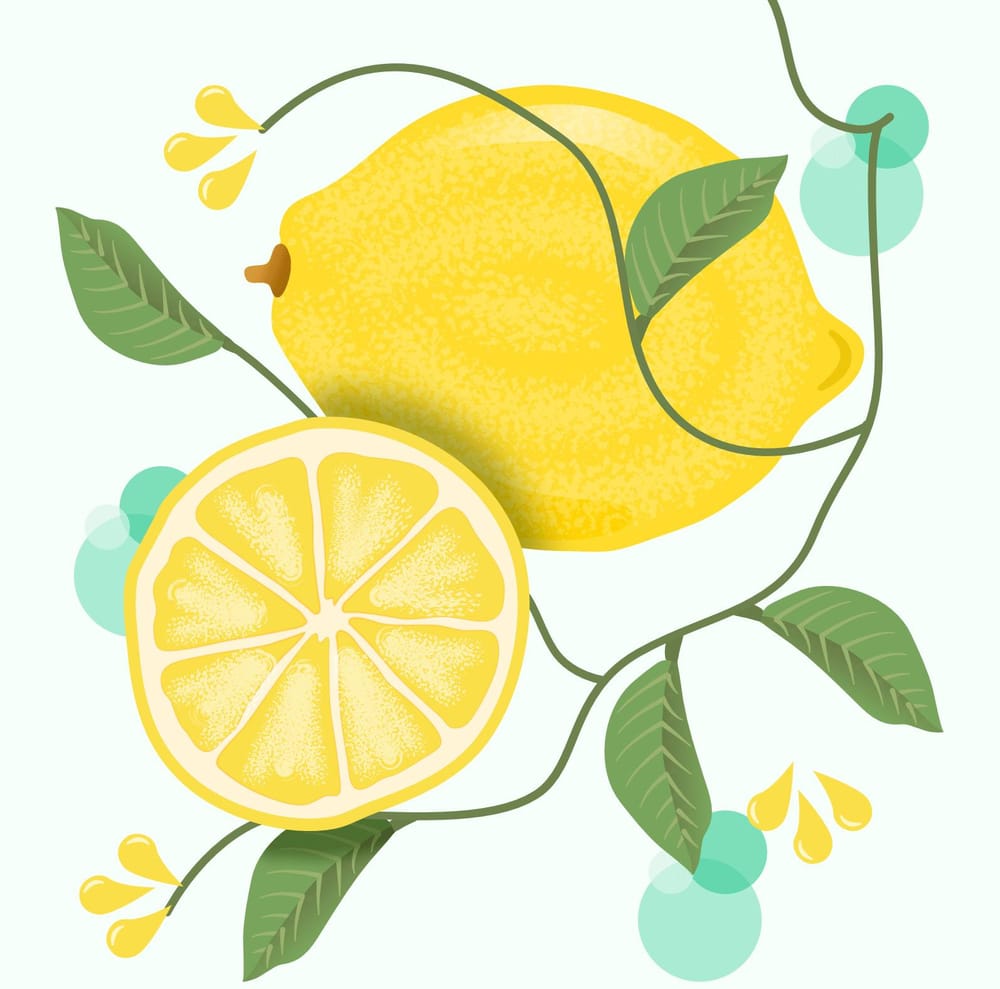 Love of Lemons ) Skillshare Student Project