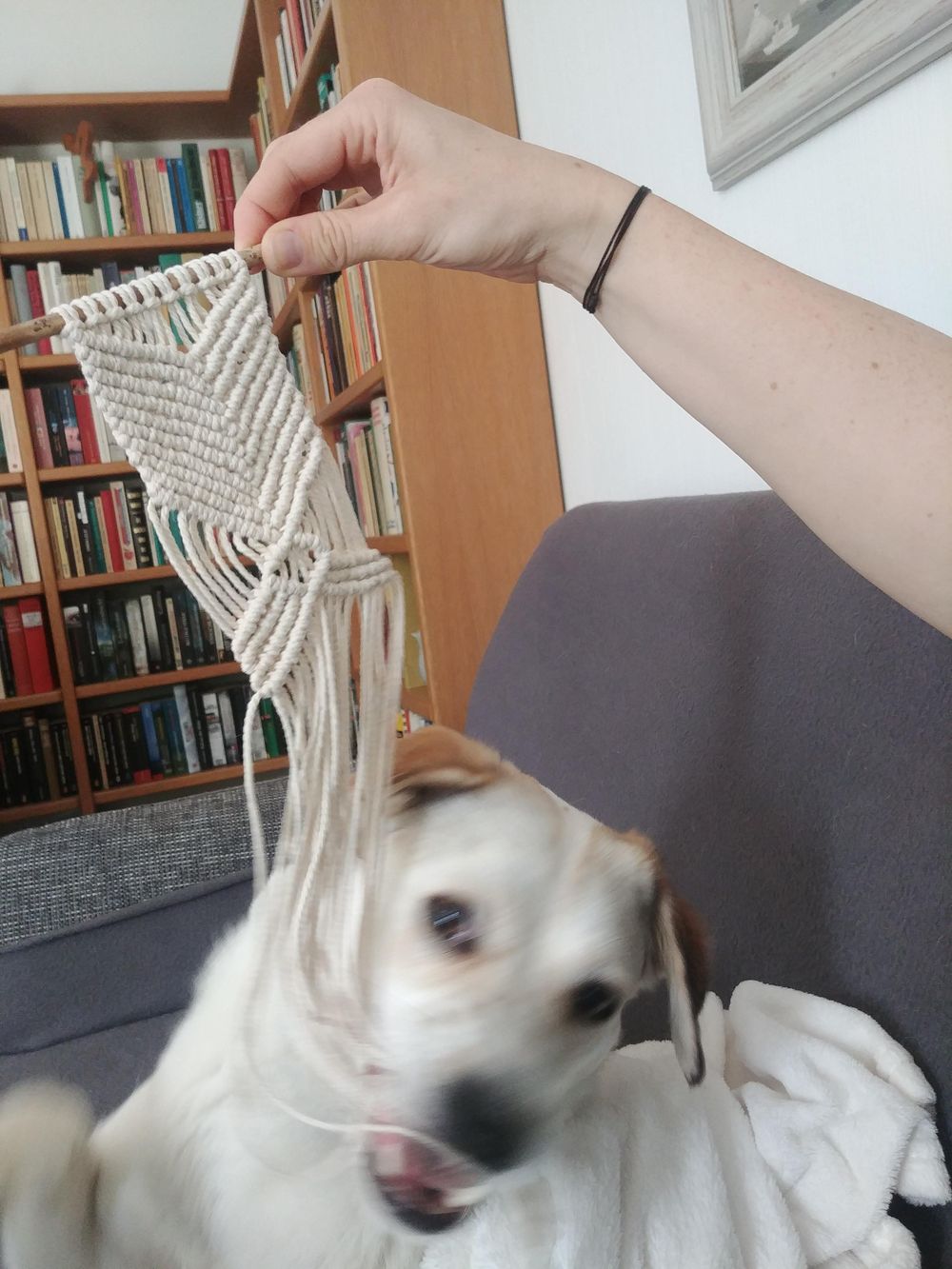 Macrame Wall Hanging + Coasters - image 3 - student project