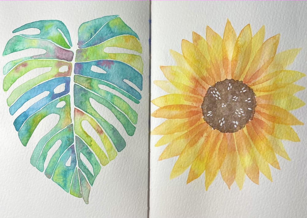 The benefits of white space - image 2 - student project