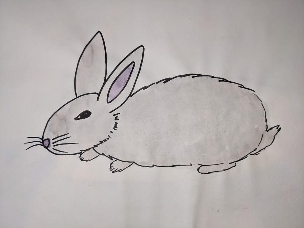 Beginning Drawing Learn The Basics Of Line Drawing Skillshare Beginning Drawing Learn The Basics Of Line Drawing Skillshare