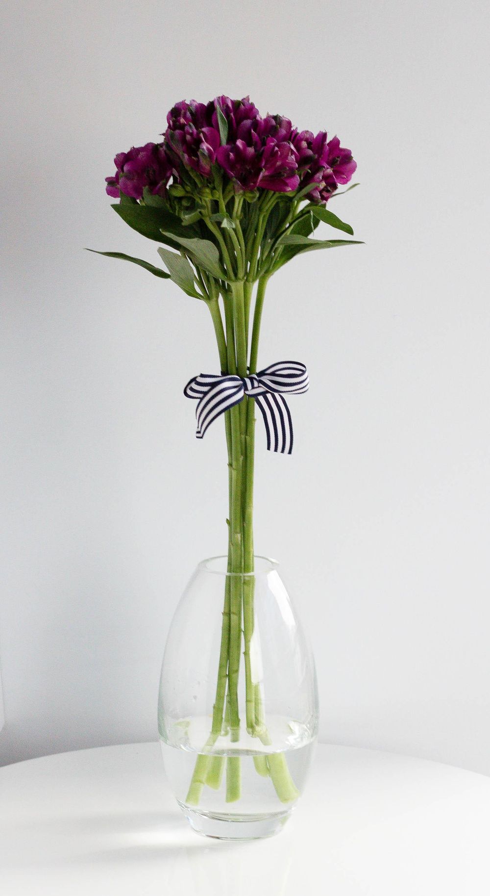 Alstromeria - image 1 - student project