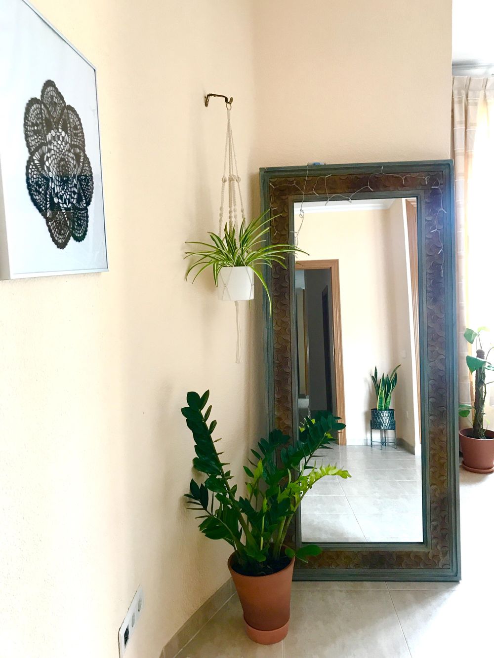 My bedroom's plants - image 1 - student project