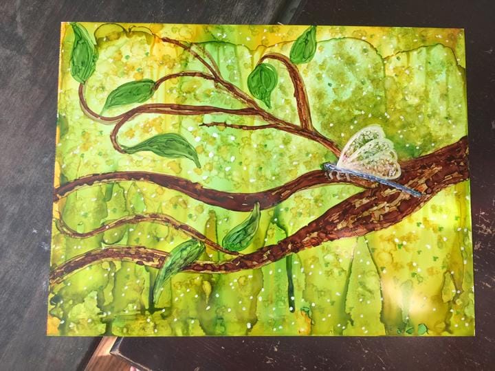 Dragonflies - image 2 - student project